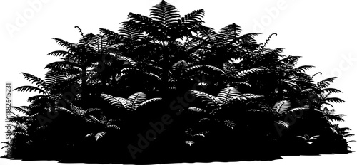 Dense fern bush silhouette, featuring lush prehistoric foliage, ideal for natural history designs.