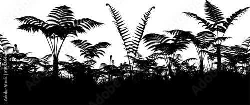Dense fern foliage silhouette, depicting a lush ground cover of various plant fronds.