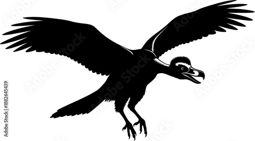 Flying archaeopteryx silhouette, detailed vector illustration of a prehistoric feathered proto-bird.