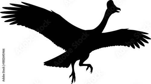 Gastornis terror bird, running with outstretched wings and open beak, simple black vector silhouette.