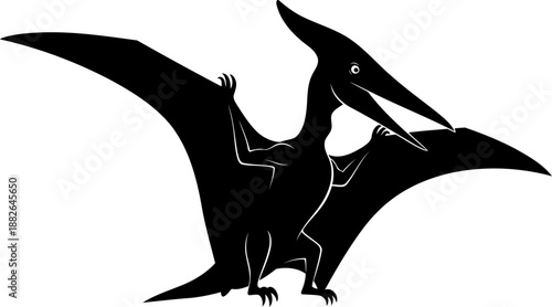 Landing pteranodon silhouette with spread wings, detailed vector illustration of a prehistoric flying reptile.