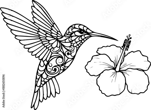 Intricate outline illustration of a hummingbird hovering next to a hibiscus flower, ornamental design.