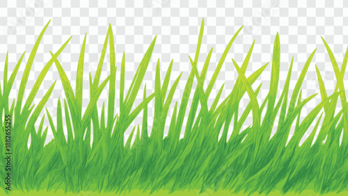 nature grass border background flat color vector illustration template design