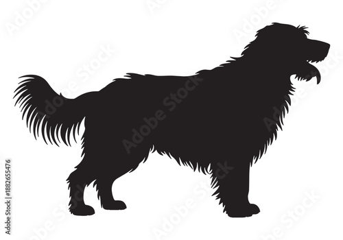 Vector silhouette of a dog on white background