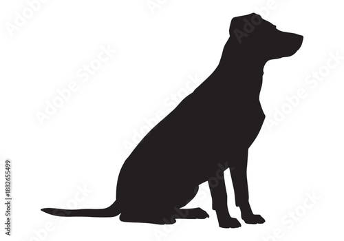 Vector silhouette of a dog on white background