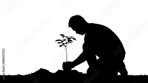 Man kneeling down to plant a small tree in the ground outside