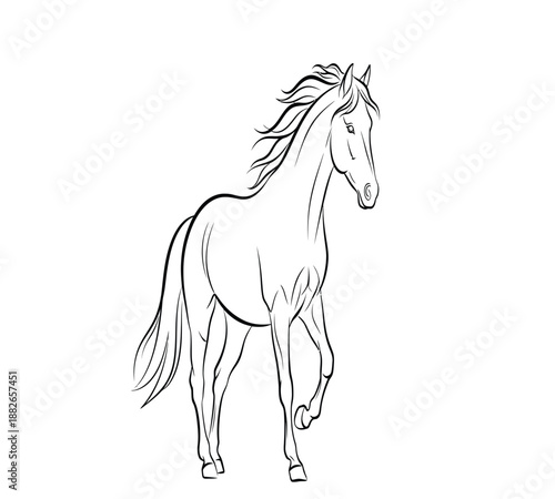 Black silhouette of a wild mustang stallion running and galloping in a vector illustration art style featuring a majestic mane and equine profile for equestrian nature design