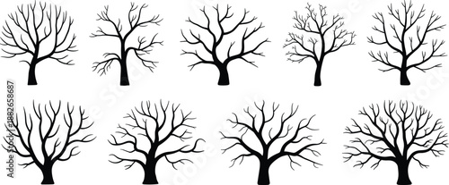 Silhouette illustration of leafless trees with unique branching patterns, ideal for nature design, botanical studies, and seasonal decoration themes