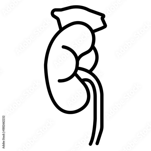 Adrenal Glands Icon