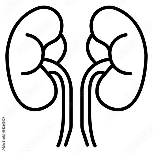 Kidneys Icon