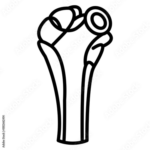 Humerus Icon