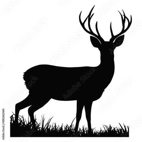 deer silhouette vector