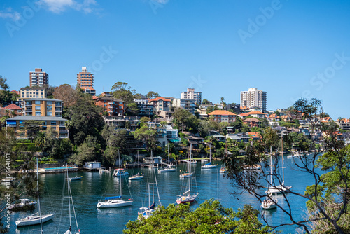 Sydney Harbor scene