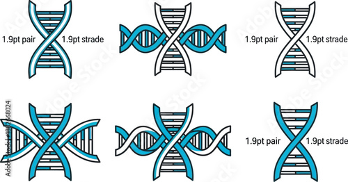 Six diagrams illustrate various configurations of intertwined deoxyribonucleic acid strands with labeled structural measurements for scientific study.