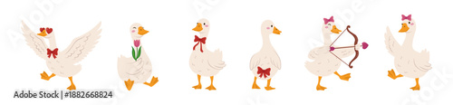 Cute goose vector illustration set with adorable geese characters in different poses, romantic and playful flat cartoon birds for valentines, cards, stickers, nursery designs, packaging and patterns
