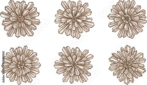 Six top-down views of various quartz crystal clusters rendered in a detailed, earthy brown, hand-drawn style against white.