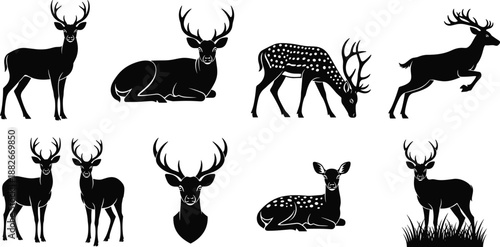Deer silhouettes collection with stag and doe poses, forest wildlife animals in standing, resting and running scenes, black vector illustration isolated
