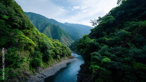 Lush green mountain river gorge winding through dense forest scenery