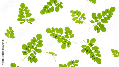 Vibrant green botanical elements scattered on pristine white creating a fresh natural design background