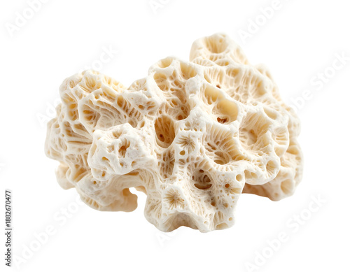 Intricate, textured, light-colored organic formation on black background