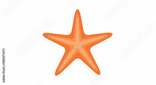 Orange starfish with transparent background