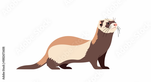 Ferret animal portrait with transparent background
