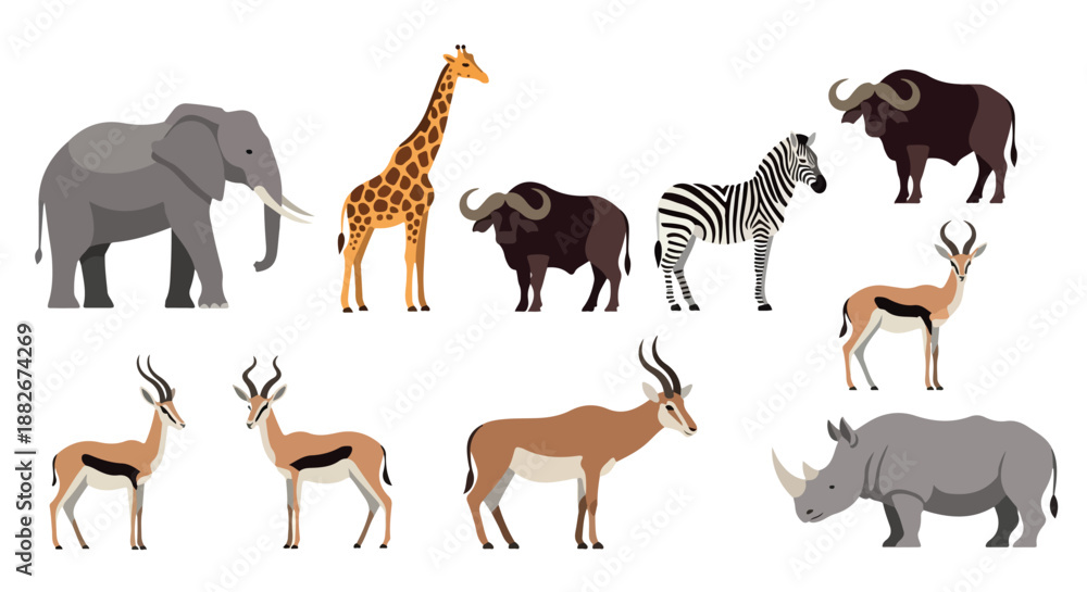 Obraz premium African wildlife collection with transparent background
