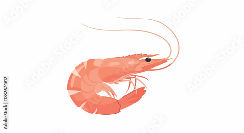 Pink shrimp with transparent background