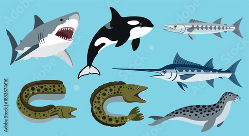 Ocean predators collection with shark, orca, marlin
