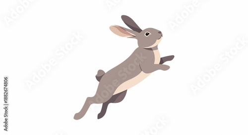 Hare jumping with transparent background