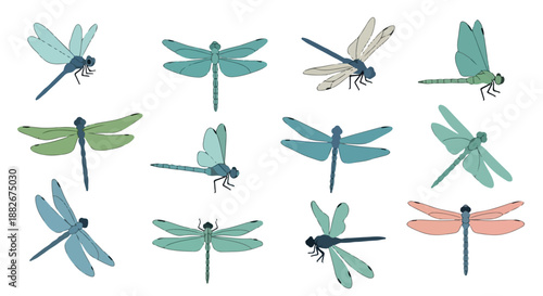 Collection of dragonflies in various colors with transparent background
