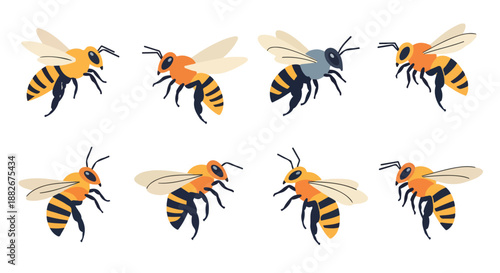 Honeybees collection with transparent background