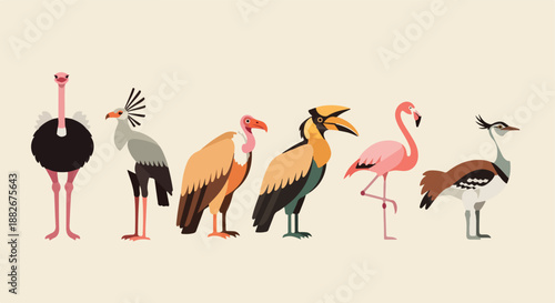 African birds collection with transparent background