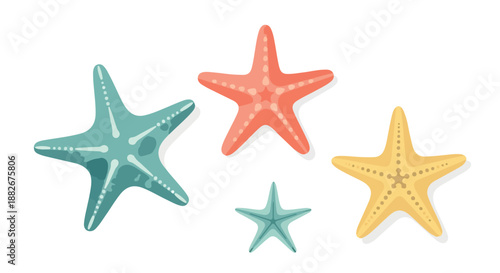 Starfish collection with transparent background