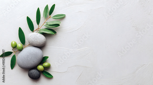Wallpaper Mural Smooth stone spa zen balance olive leaf wellness nature minimal harmony peaceful smooth stone spa zen balance olive leaf wellness nature minimal harmony white background for natural beauty product Torontodigital.ca