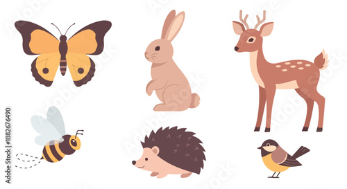 Forest animals collection with transparent background