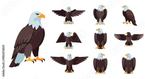 Bald eagle poses with transparent background