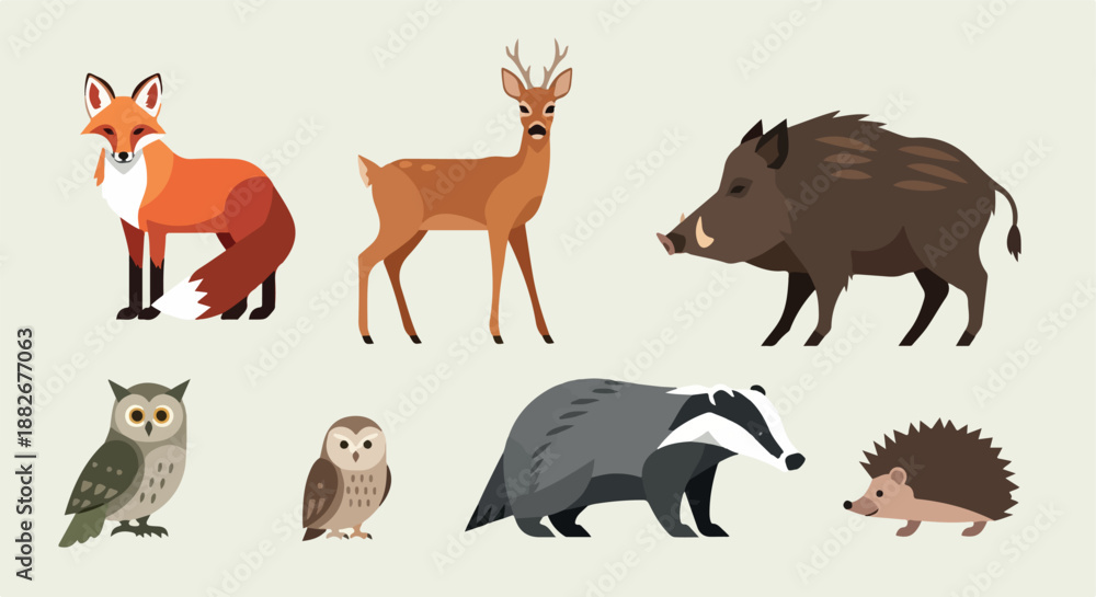 Fototapeta premium Forest animals collection with transparent background