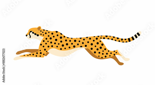 Running cheetah with transparent background
