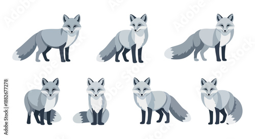 Fox poses collection with transparent background