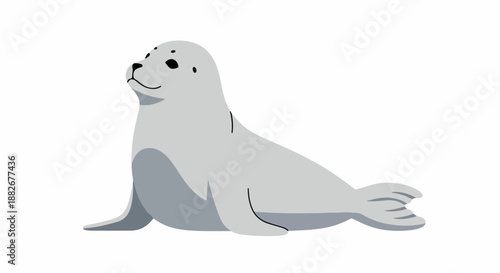 Gray seal animal with transparent background