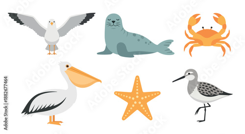Seashore animals and birds collection with transparent background