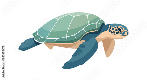 Sea turtle swimming with transparent background