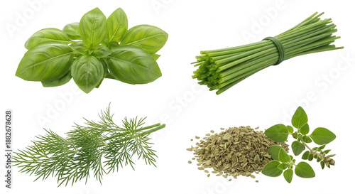 Fresh herbs collection basil chives dill oregano transparent background food ingredients