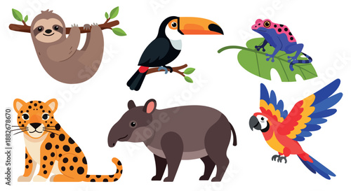 Rainforest animals collection with transparent background