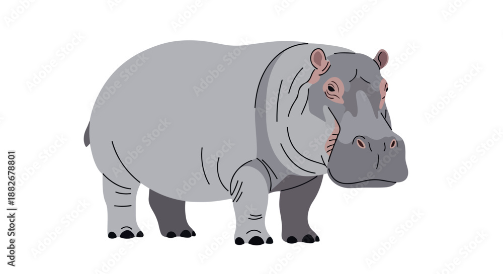 Fototapeta premium Gray hippopotamus animal with transparent background
