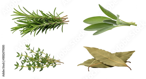 Fresh herbs rosemary sage thyme bay leaves transparent background