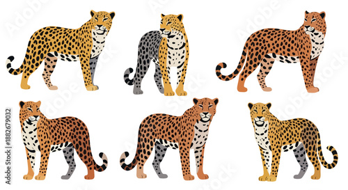 Leopards in various poses with transparent background