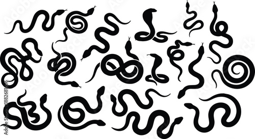 Snake silhouette icon set, black abstract vector, coiled and slithering poses, reptile graphic, wild animal shape, nature, curve, motion
