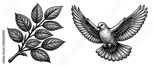 Hand drawn line art nature elements set featuring a flying dove and a leafy branch for vintage design